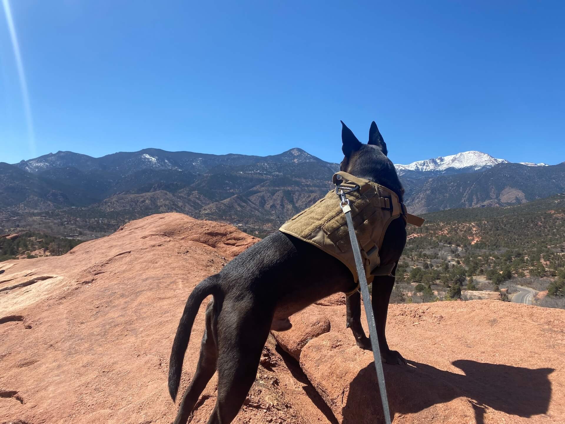 Emergency Veterinarian in Pueblo